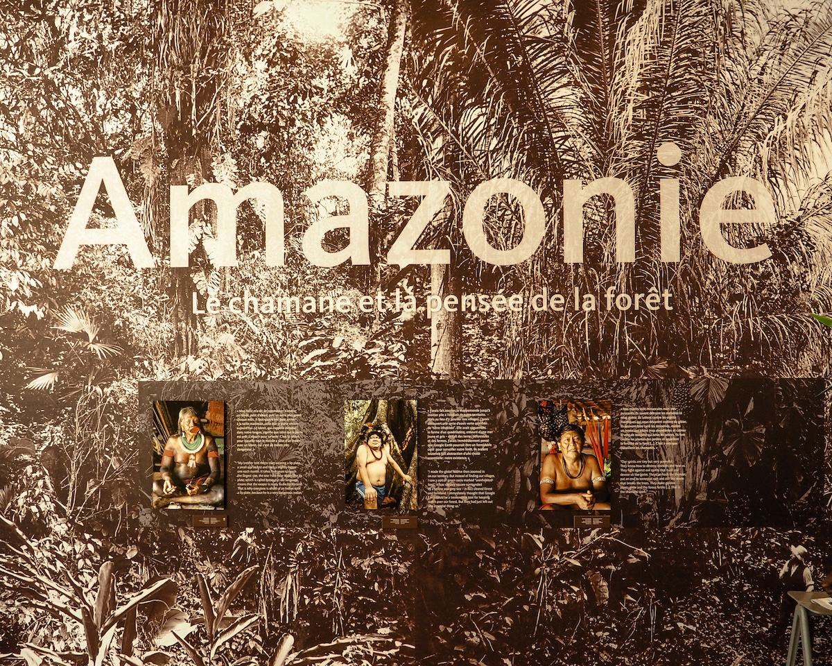 Exposition Amazonie