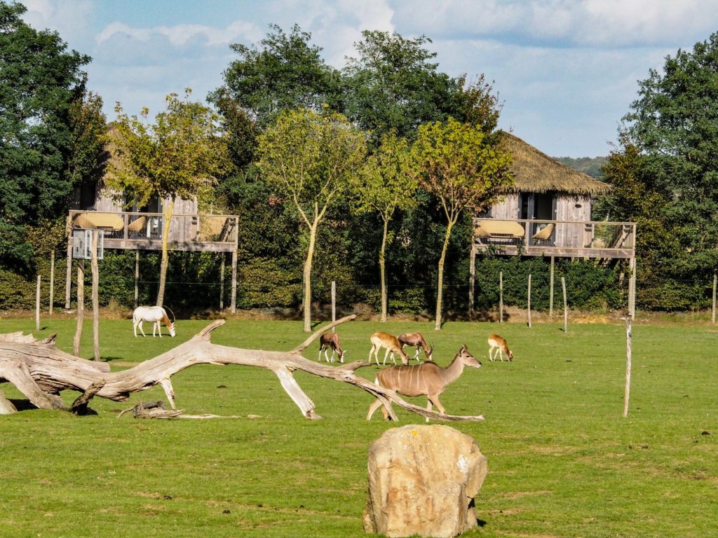 Zoo de la Boissière du Doré