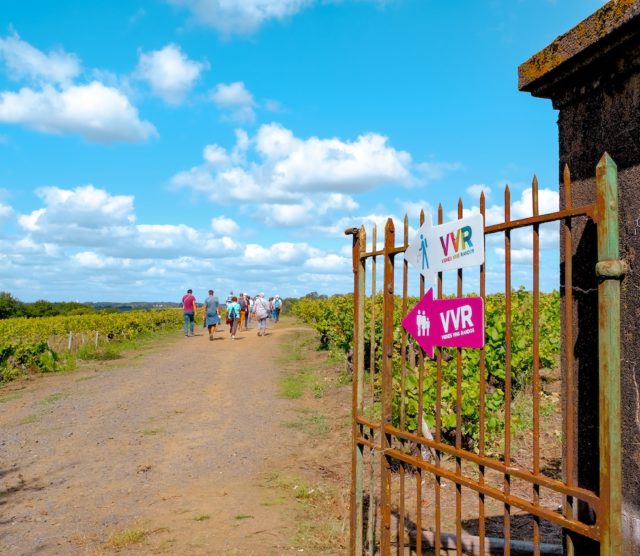 Ma Balade en Loire-Atlantique #6 – VVR 2020 Muscadet Sèvre et Maine