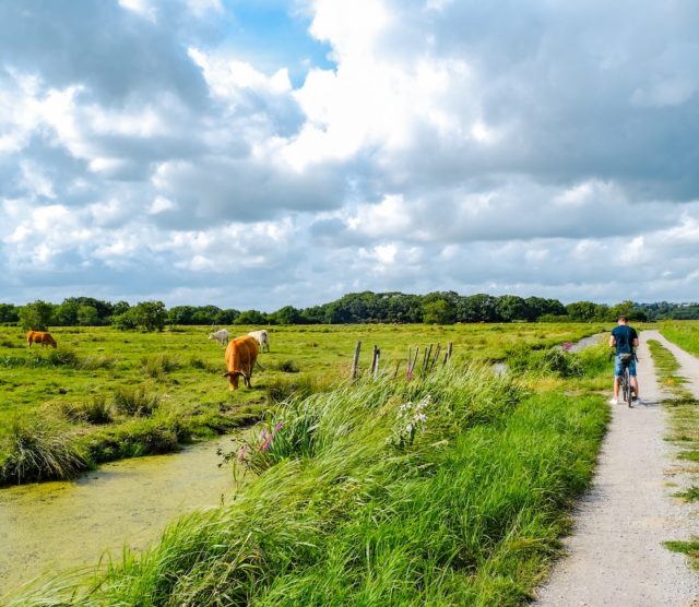 Vélo Détours – Balades autour de Savenay et Saint Étienne de Montluc