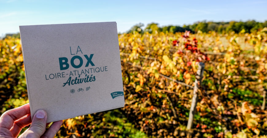 Expérience dans les vignes avec LA box Loire-Atlantique Activités