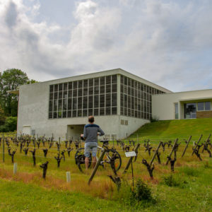 Musée du Vignoble