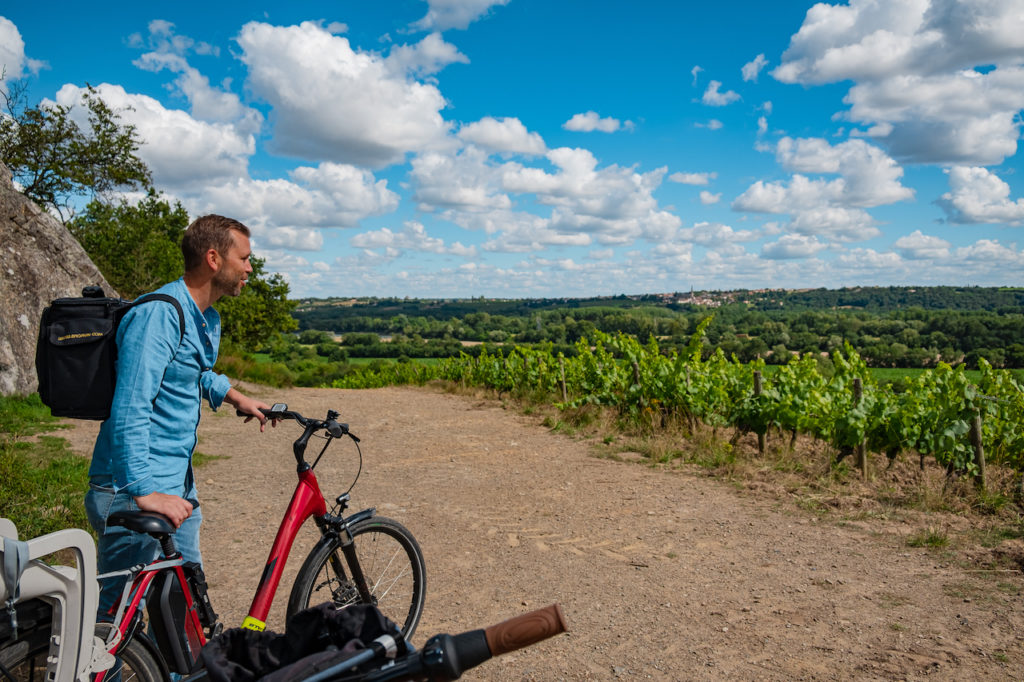 Vignoble Loire à vélo