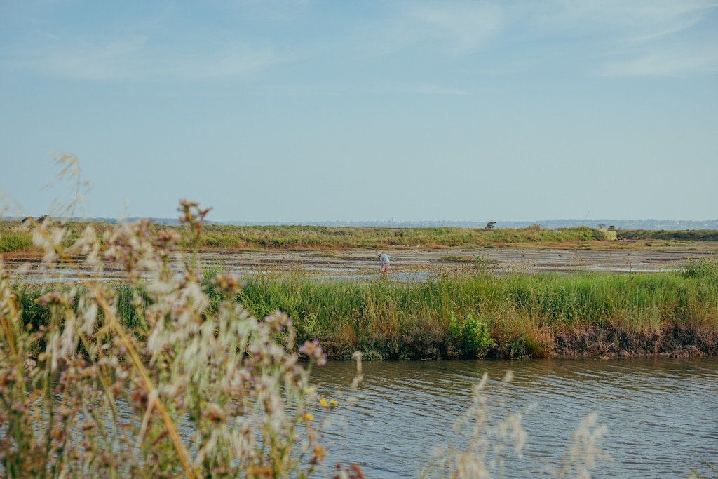 Marais salants