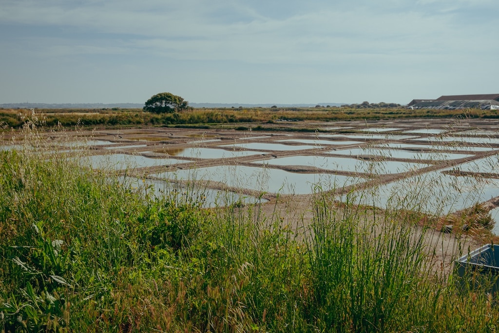 Natursel - Visite marais salants