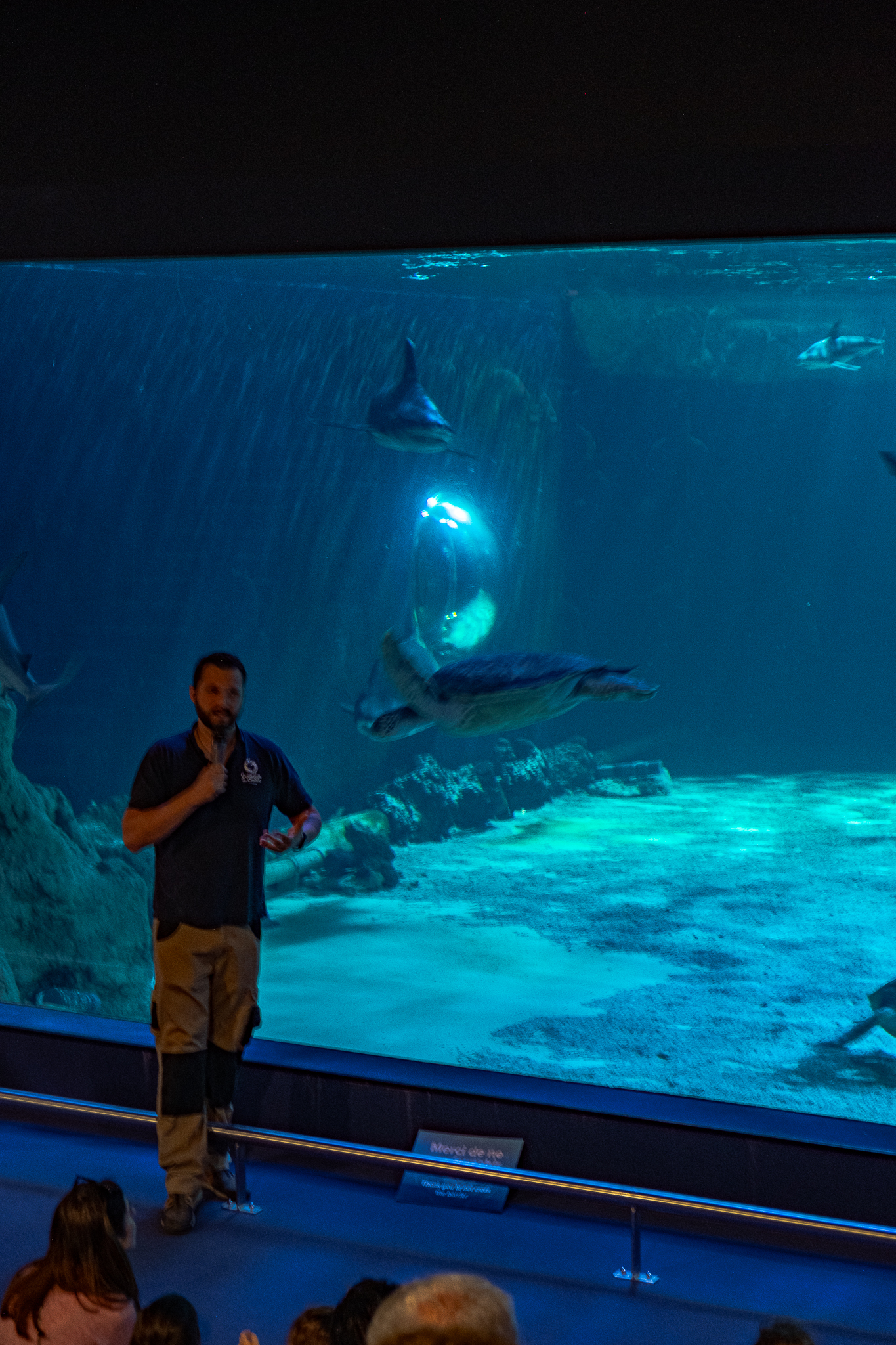 ocearium-le-croisic-32