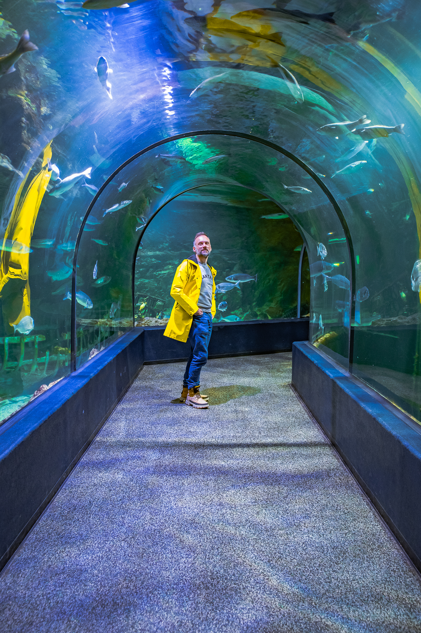 ocearium-le-croisic-70