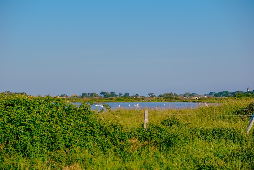 lagune Les Moutiers en Retz