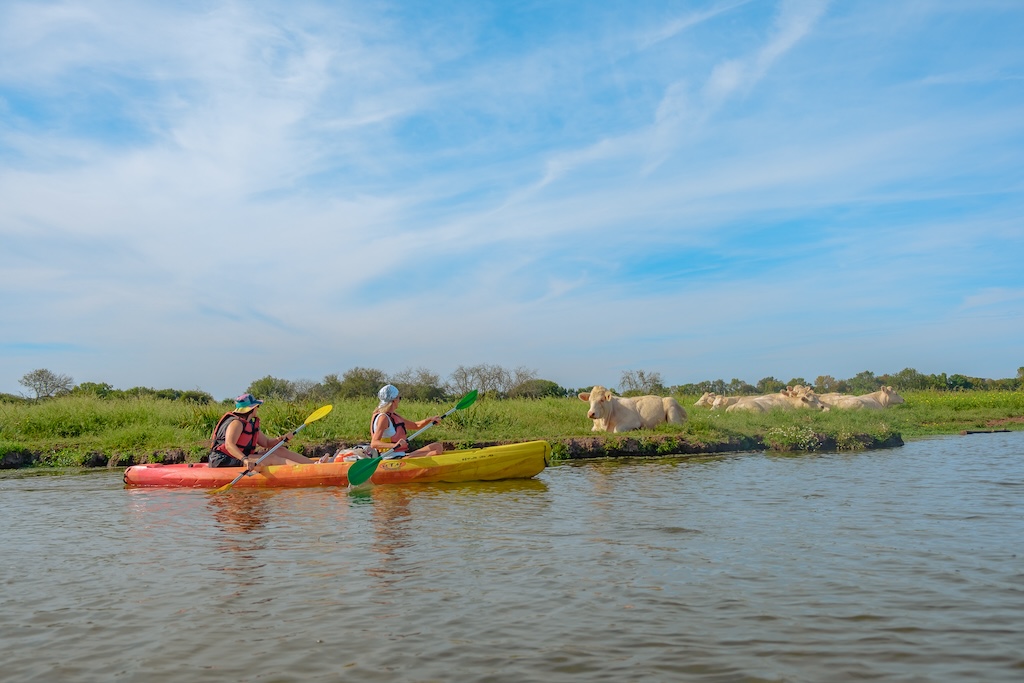 canoe nature loire atlantique