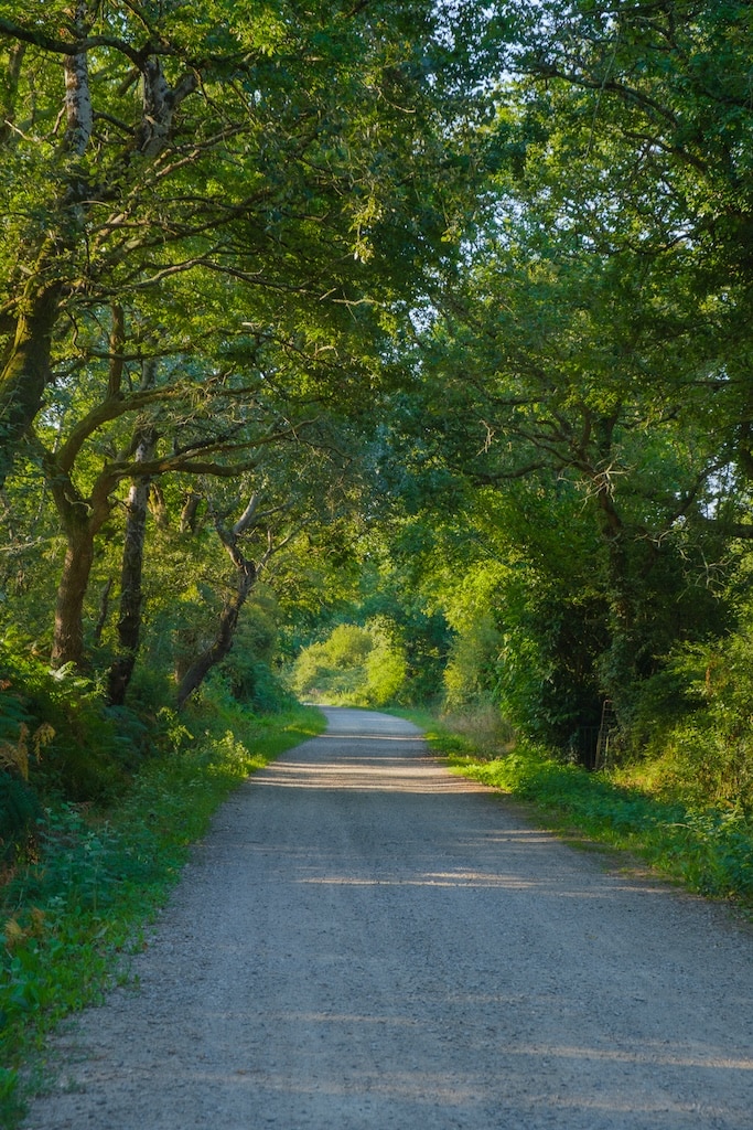 Balade campagne