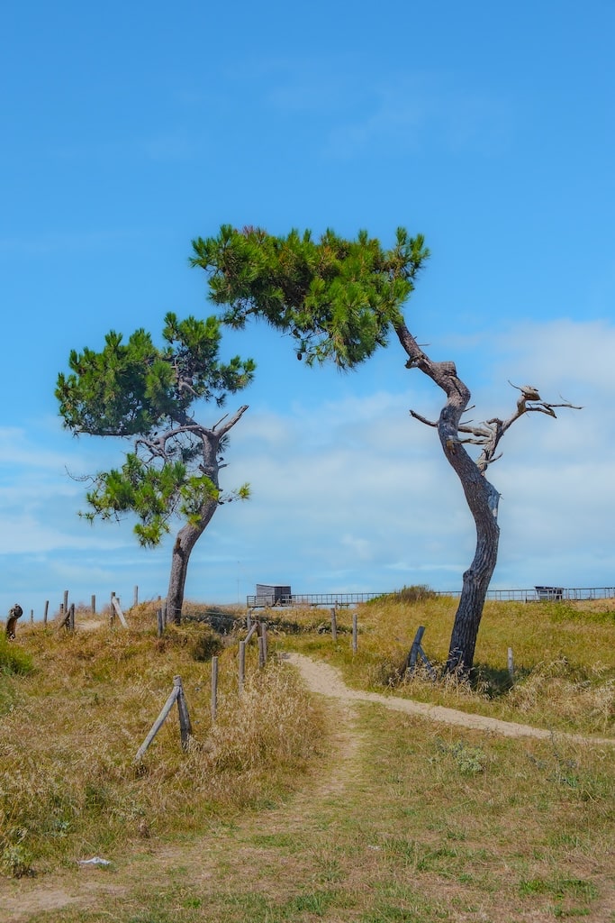 balade nature les moutiers en retz