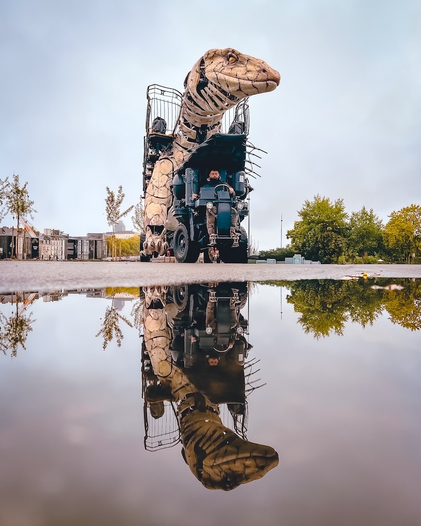 Varan de voyage Nantes