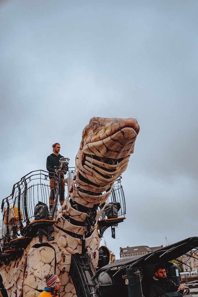Varan Machine