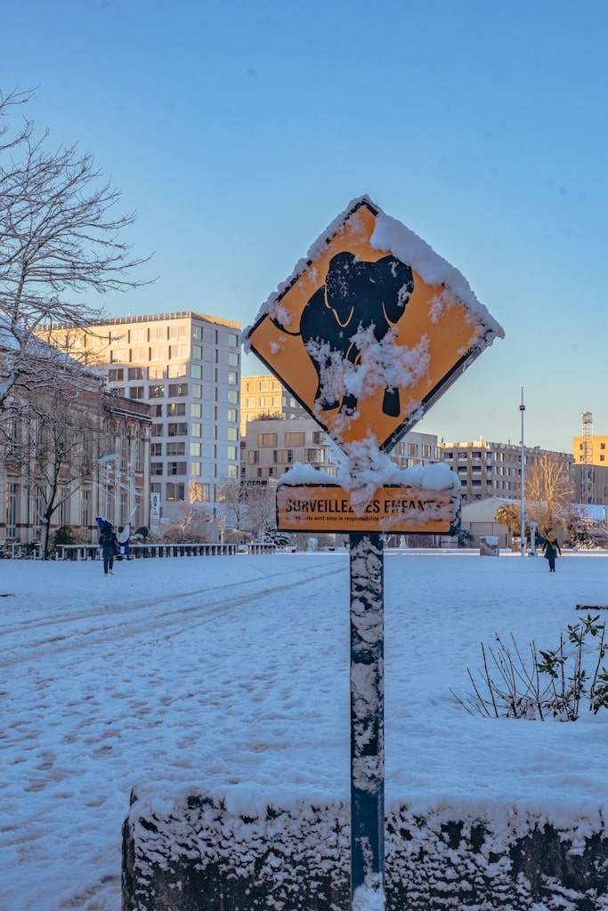 elephant neige