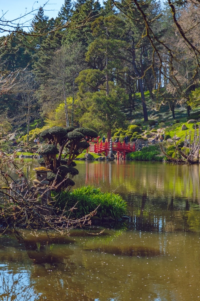 Jardin japonais cholet