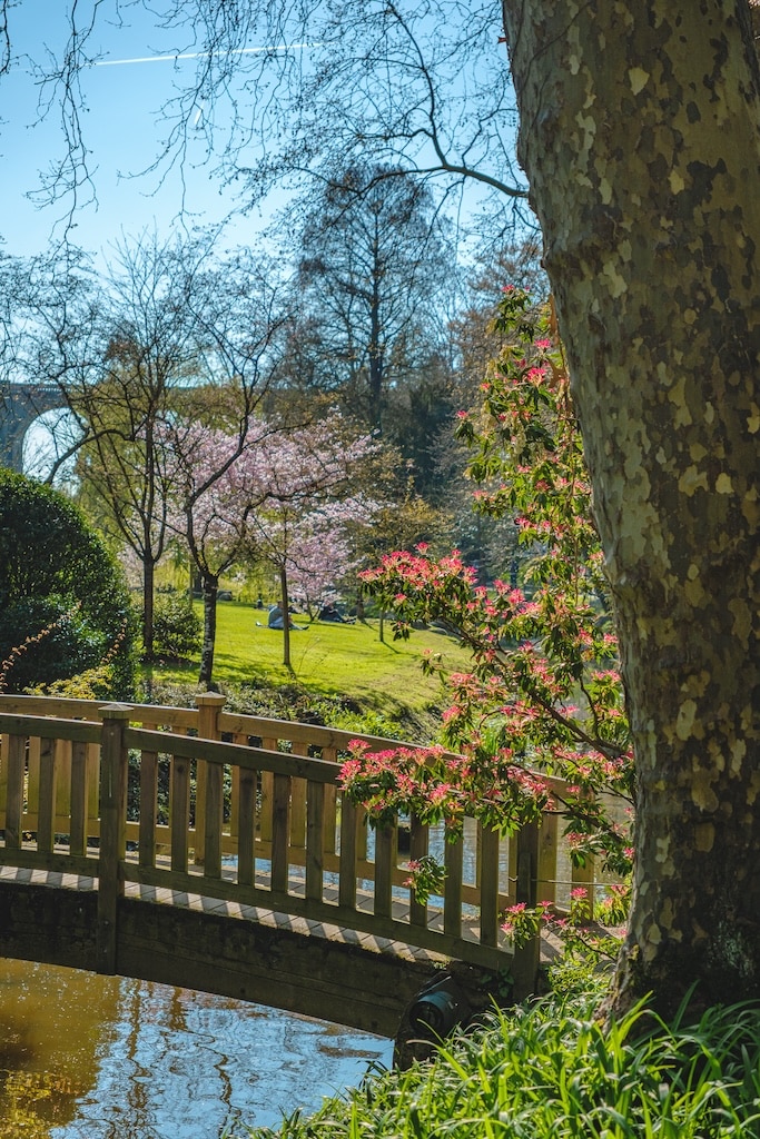jardin japonais maulévrier