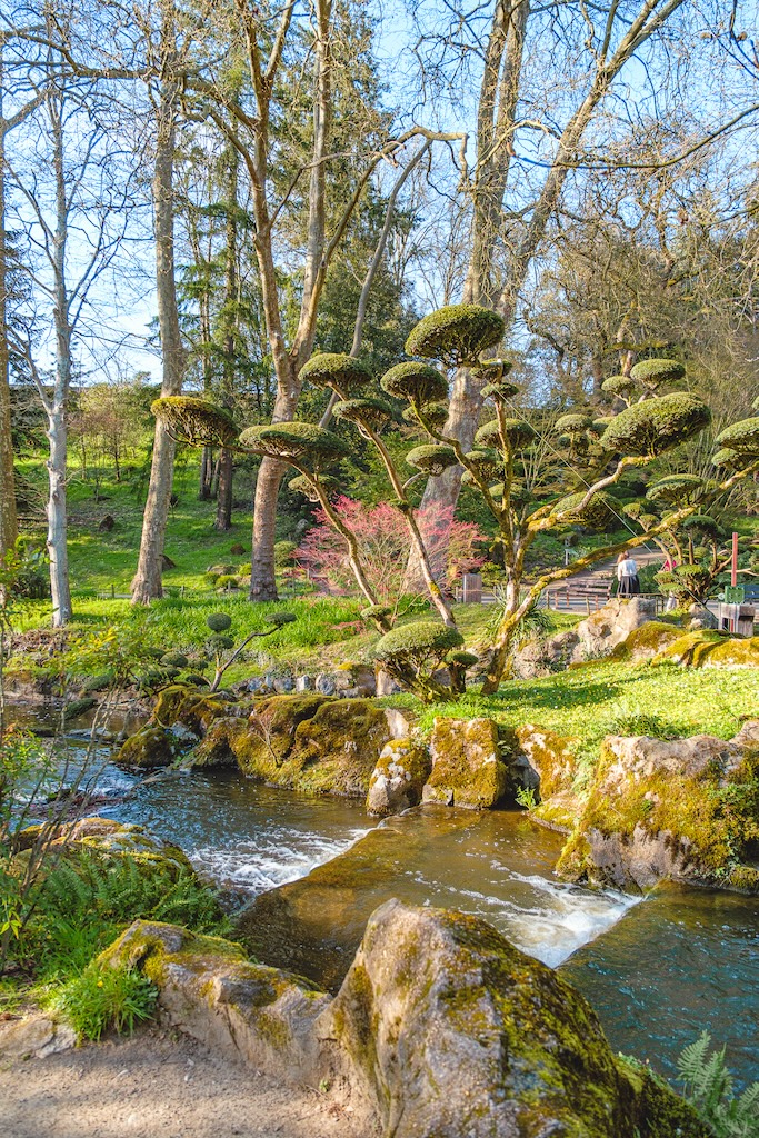 décor jardin japonais
