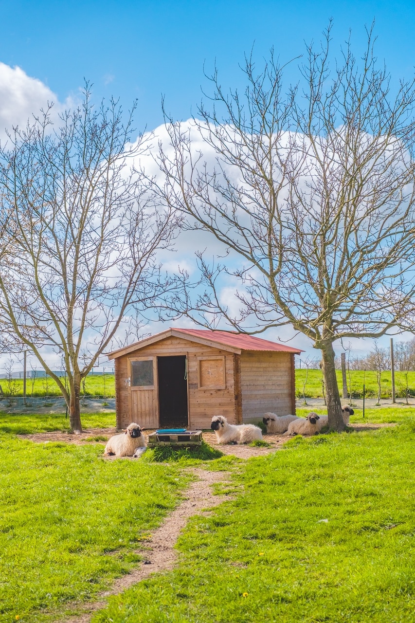 domaine-de-la-haye-24