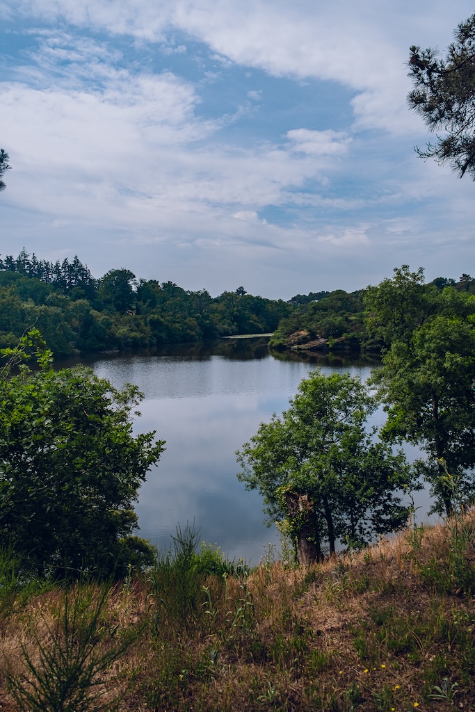 Etang de la forge neuve