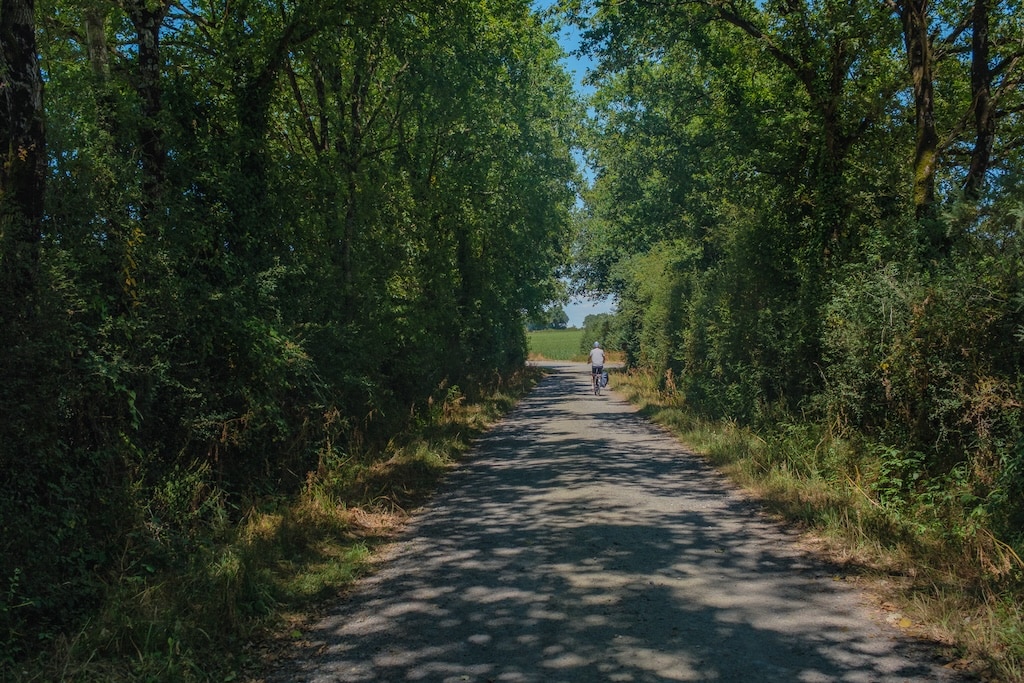 velo-ECF-54