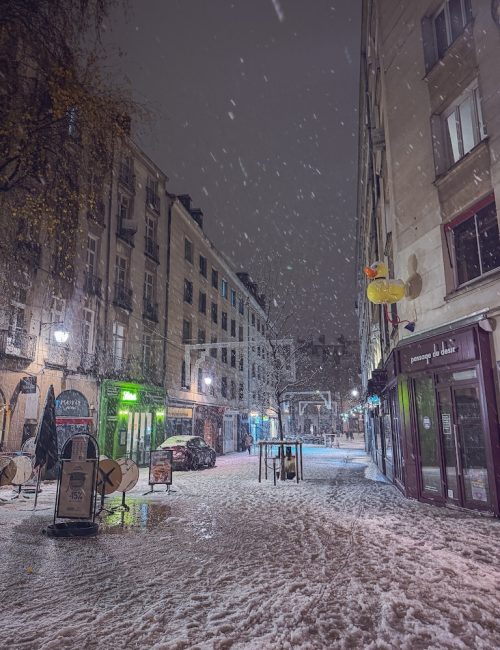 centre ville de nantes