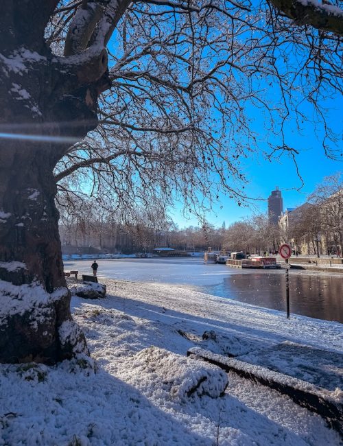 neige nantes janvier 2026