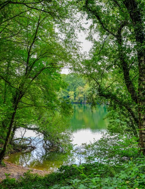 Vue sur le lac