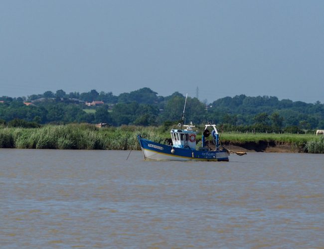 Croisière Estuaire