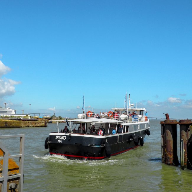 Croisière Estuaire