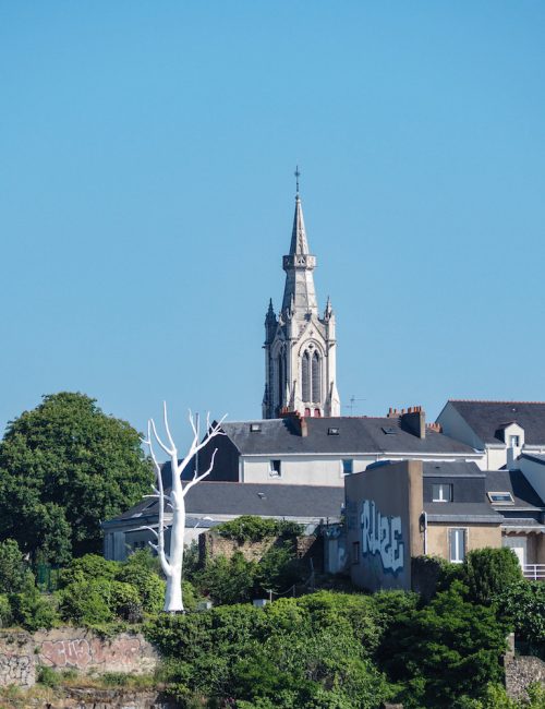 Croisière Estuaire