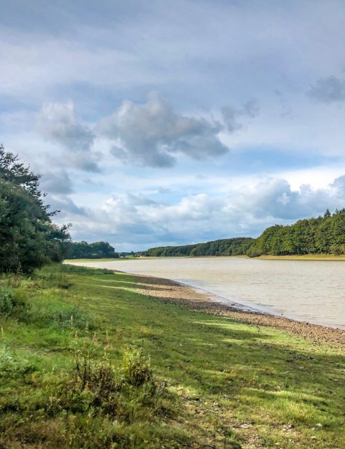 Vue Lac de Vioreau