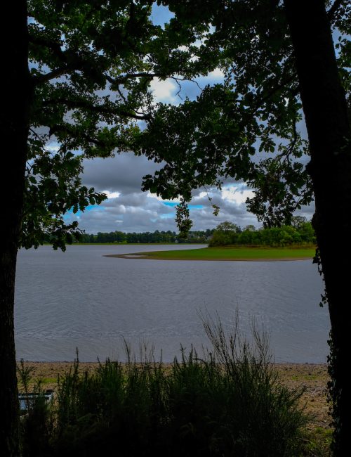 Vue Lac de Vioreau