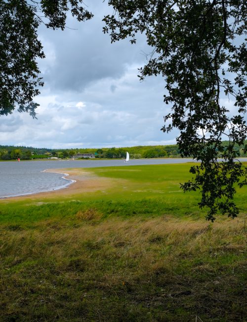 Vue Lac de Vioreau