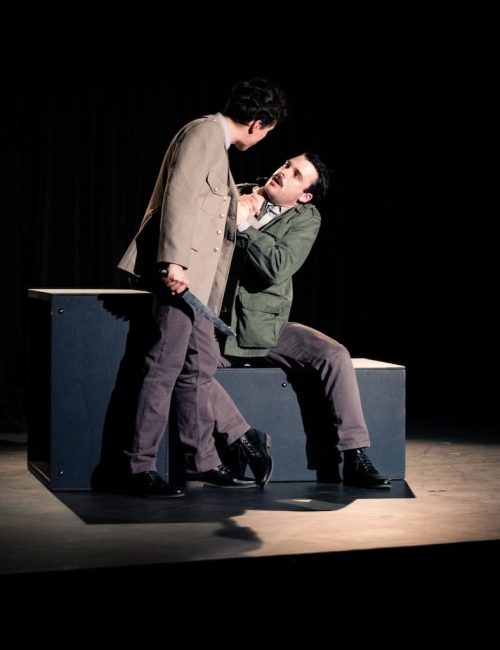 LA GUERRE DES EMEUS - (c) Benoit Salmon