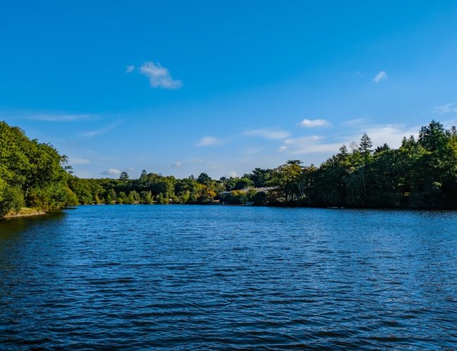 Lac de Savenay