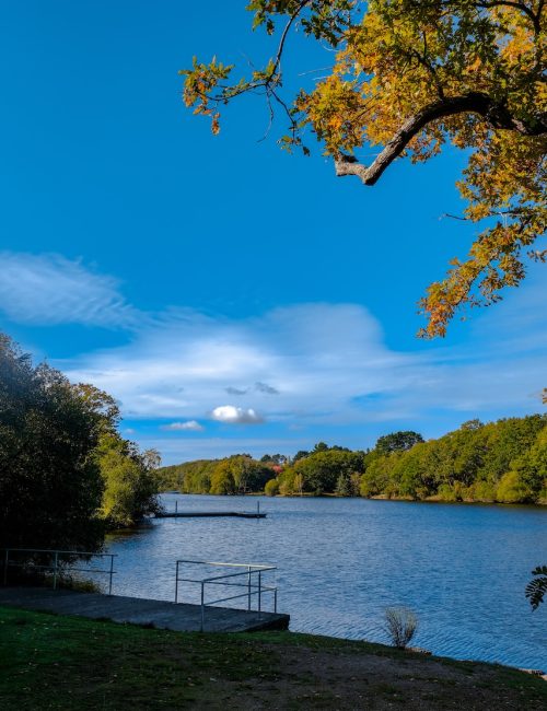 Lac de Savenay