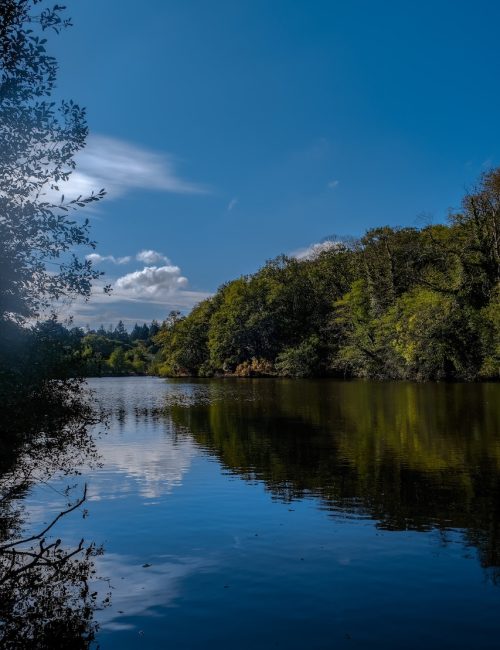 Lac de Savenay