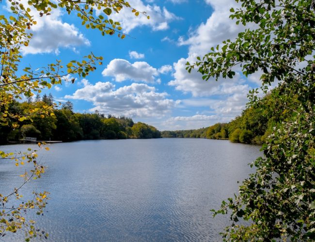 Lac de Savenay
