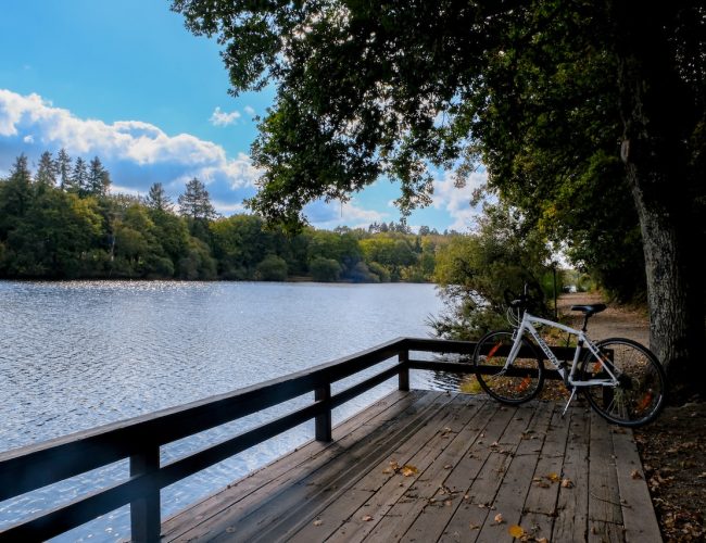 Vélo Lac de Savenay