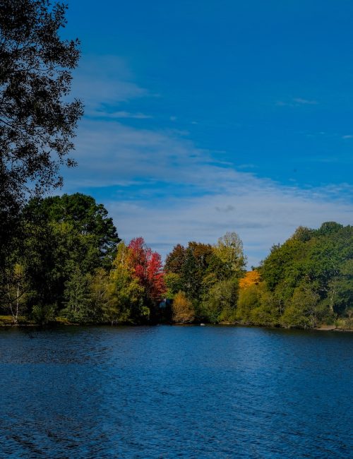 Lac automne