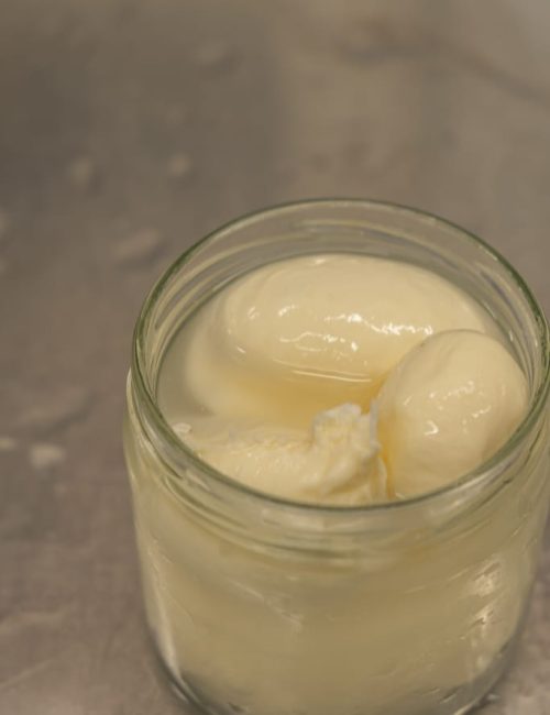 Atelier mozzarella