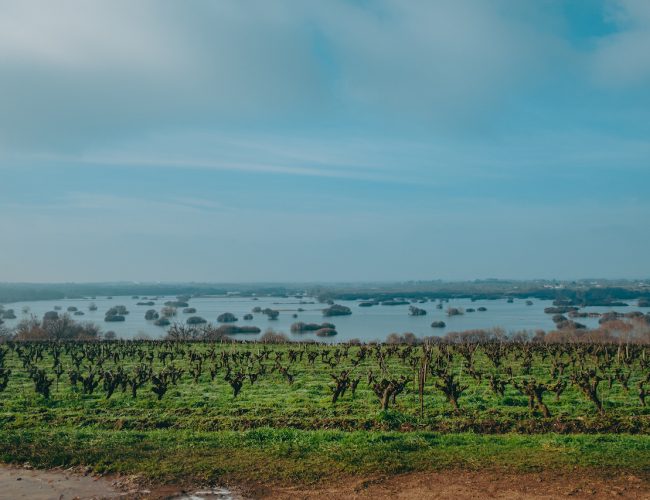 Marais de Goulaine