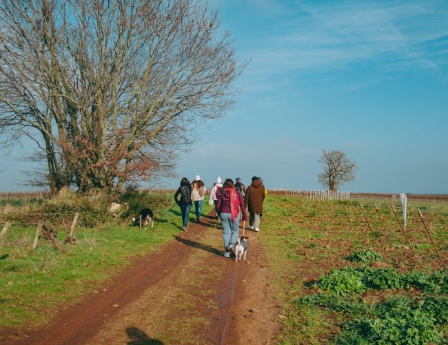 Balade Loroux Bottereau