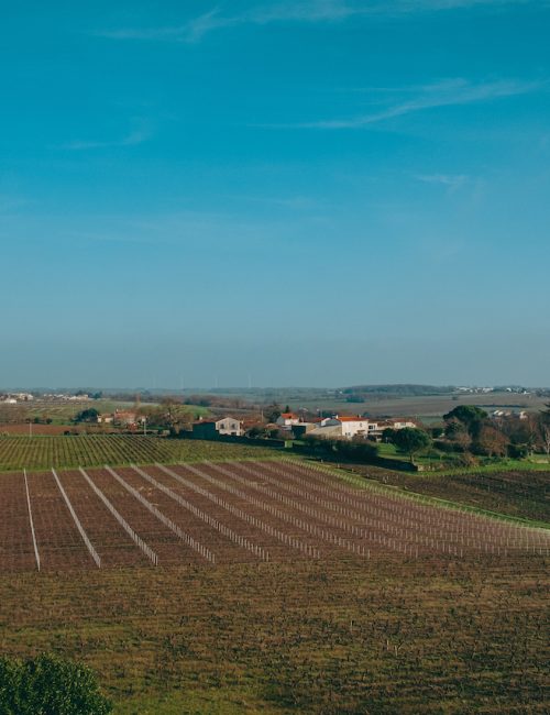 Balade Le Loroux Bottereau