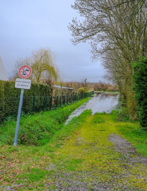 Balade Loire Atlantique Marais de Brière