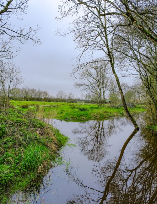 Balade Loire Atlantique Marais de Brière