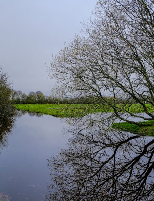 Balade Loire Atlantique Marais de Brière