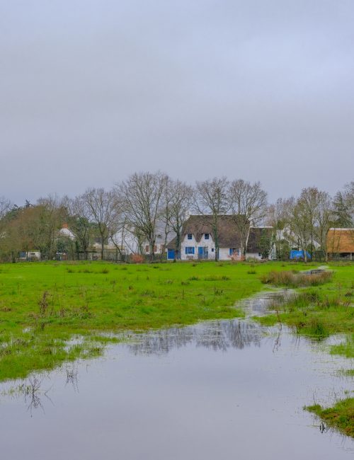 Balade Loire Atlantique Marais de Brière