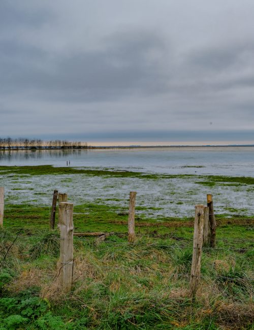 Balade Loire Atlantique Marais de Brière