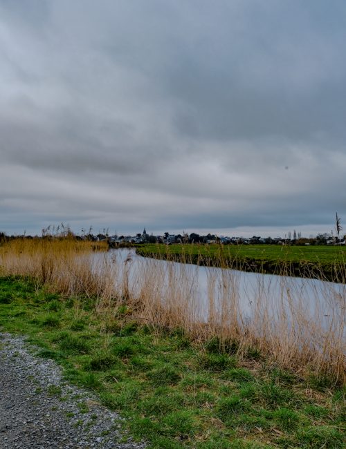 Balade Loire Atlantique Marais de Brière